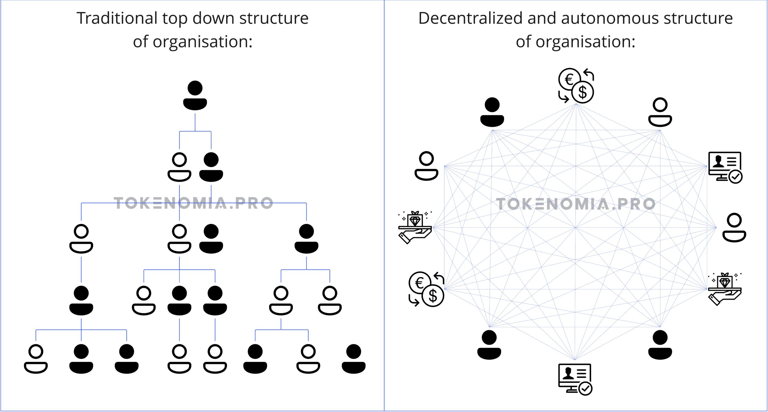 Comparison of top down structure with decentralized 